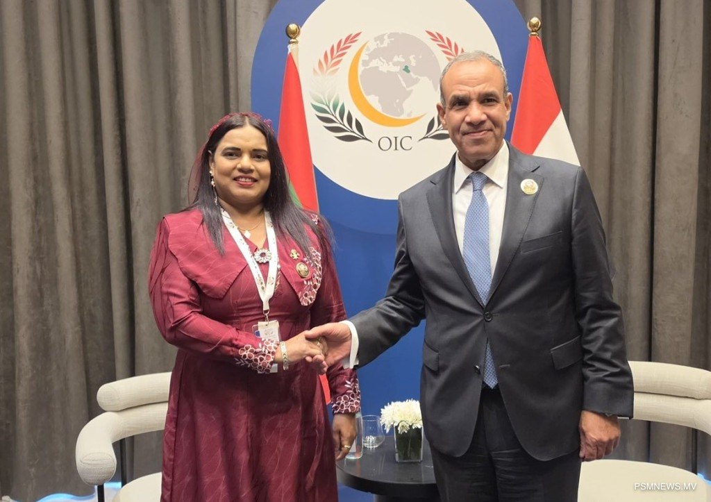 ޚާރިޖީ މިނިސްޓަރު އިރުތިޝާމް، މިސްރުގެ ޚާރިޖީ މިނިސްޓަރާ ބައްދަލުކޮށްފި